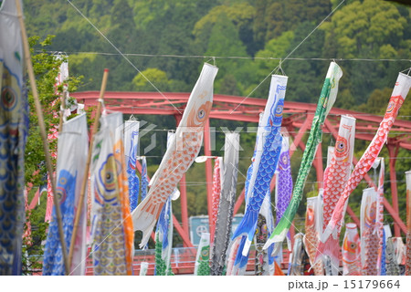 川上峡春まつりの鯉のぼり 15179664