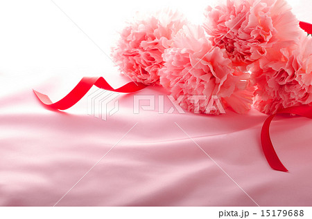 母の日 母の日 15179688