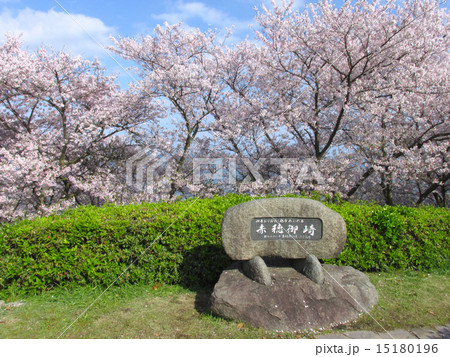 赤穂東御崎公園の桜の写真素材