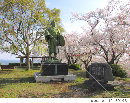 赤穂東御崎公園の桜 15180198