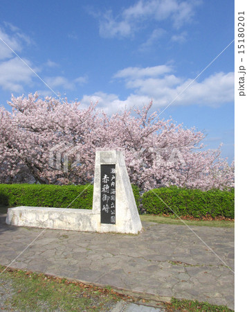 赤穂東御崎公園の桜 15180201