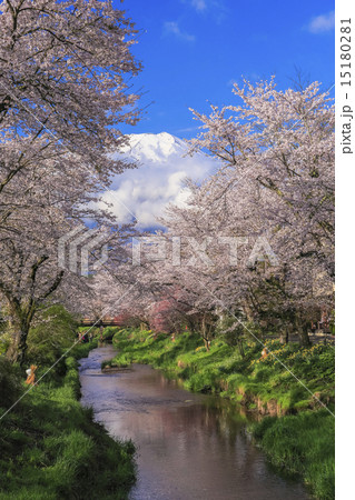 春の小川と富士山(縦) 春の小川と富士山(縦) 15180281