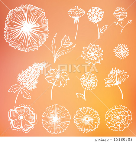 stylish beautiful flower set on blurred background stylish beautiful flower set on blurred background 15180503