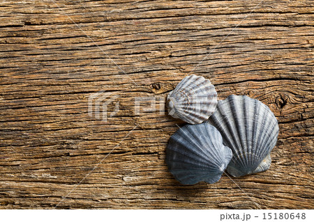sea shells on old wooden table sea shells on old wooden table 15180648