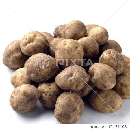 土のついた男爵いも 15181108