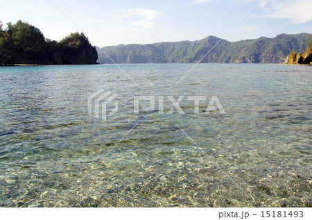 宮之浜の風景（父島） 15181493