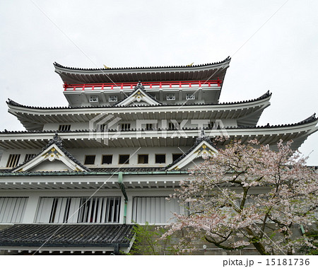 桜咲く熱海城１ 15181736