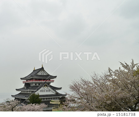 桜咲く熱海城3 桜咲く熱海城3 15181738