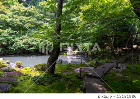 蓮華寺の新緑 15181986