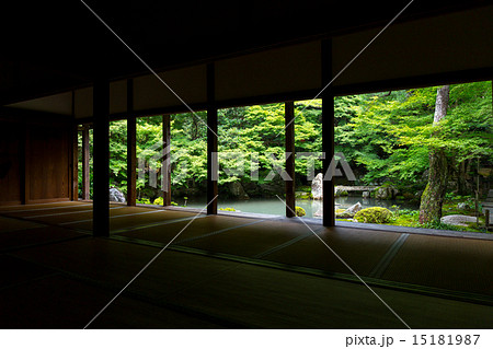 蓮華寺の新緑 15181987