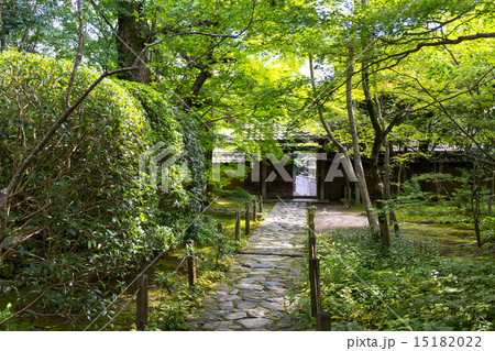 蓮華寺の新緑 15182022