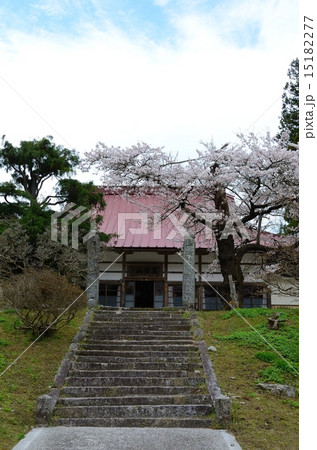 春の福田寺 15182277