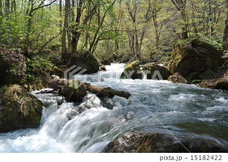 奥入瀬 奥入瀬 15182422
