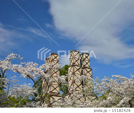 桜咲く韮山反射炉 桜咲く韮山反射炉 15182426