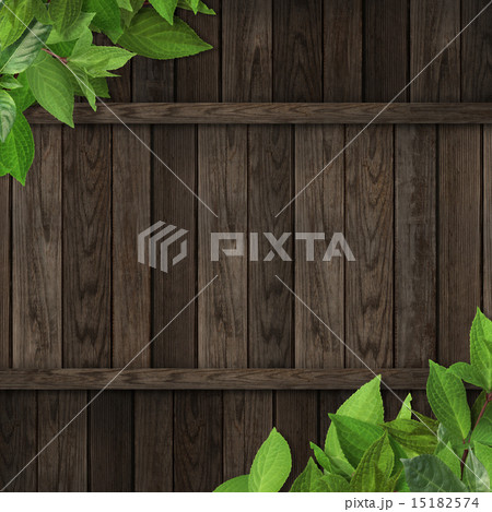 ナチュラル背景-板-葉 ナチュラル背景-板-葉 15182574