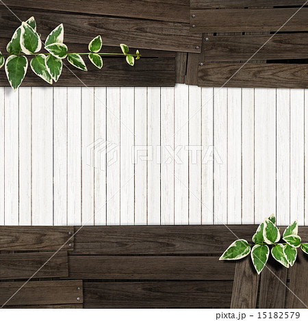 ナチュラル背景-板-葉 15182579