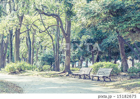 ベンチのある風景 清澄庭園の写真素材