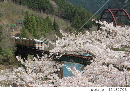 春の高山線（２） 15182708