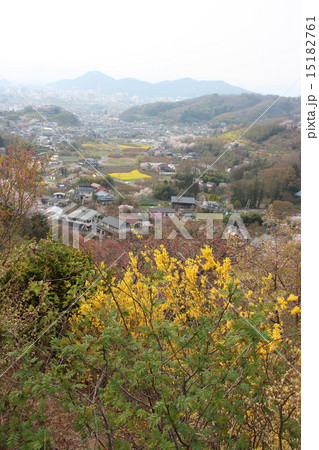 福島市 花見山公園 15182761