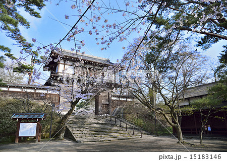 桜咲く秋田市千秋公園の表門 15183146