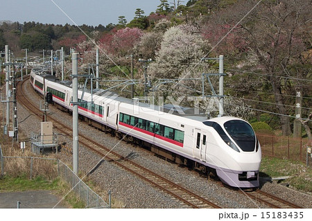 水戸偕楽園と特急ひたち号 15183435