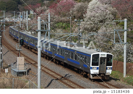 水戸偕楽園と水戸線415系 15183436