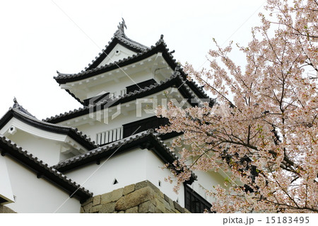 白河小峰城　三重櫓 15183495
