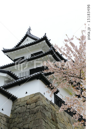 白河小峰城 三重櫓 白河小峰城 三重櫓 15183496