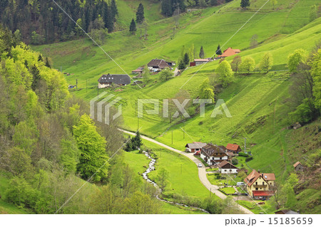 Valley in the black Forest, Germany 15185659