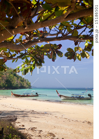 Longtail boats on the beautiful beach, Thailand 15186501