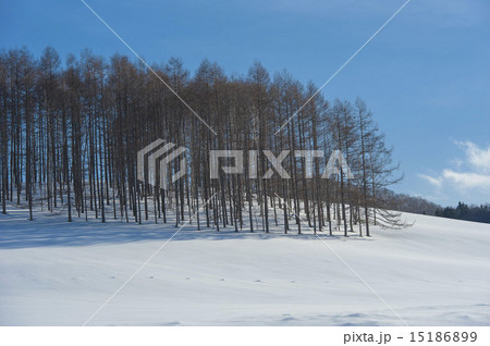 雪景色 雪景色 15186899