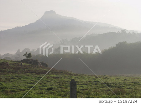 はじまり はじまり 15187224