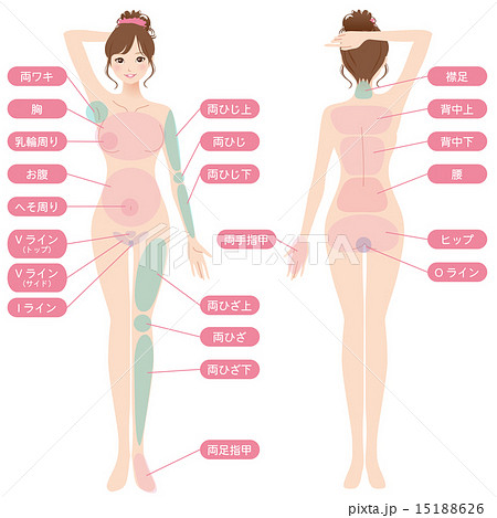 女性　美容　脱毛箇所　　改 15188626