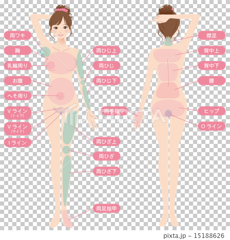 女性　美容　脱毛箇所　　改 15188626