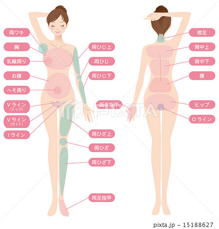 女性　美容　脱毛箇所　　改 15188627