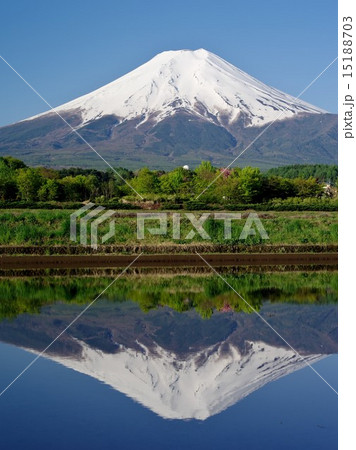 早春の富士 15188703