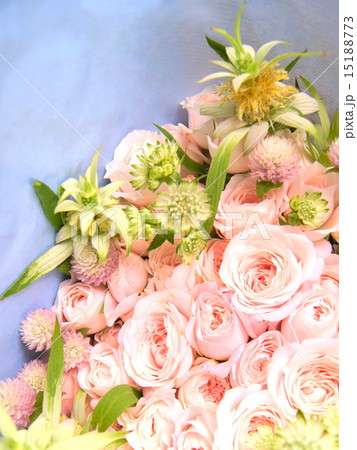大きなバラの花束 大きなバラの花束 15188773
