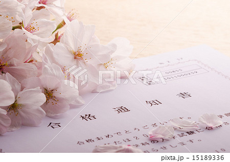 合格通知 合格通知 15189336