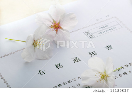 合格通知 合格通知 15189337