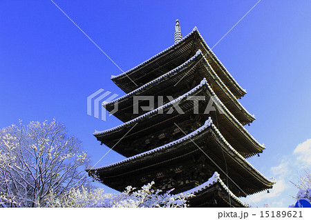 雪の法観寺 15189621