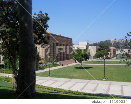 UCLAキャンパス 15190034