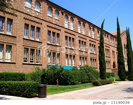 UCLA校舎 UCLA校舎 15190036