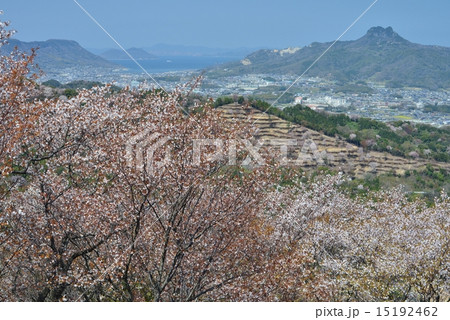 山桜と八栗山、屋島(香川県さぬき市)2 山桜と八栗山、屋島(香川県さぬき市)2 15192462