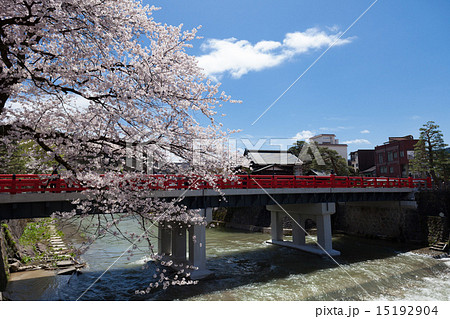 飛騨高山 中橋 桜 15192904