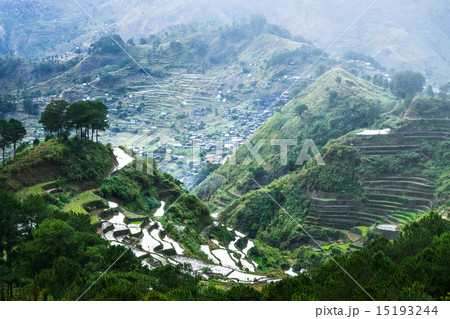 Rice terraces. Banaue, Philippines 15193244