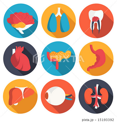 set flat human organs icons illustration concept. Vector backgro 15193392