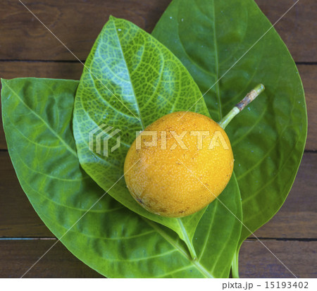 Passion Fruits on Wooden Background Passion Fruits on Wooden Background 15193402