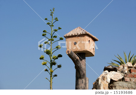 A nest box for birds 15193686