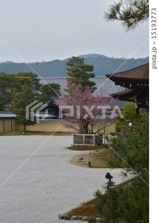 旧嵯峨御所　大覚寺 15193773