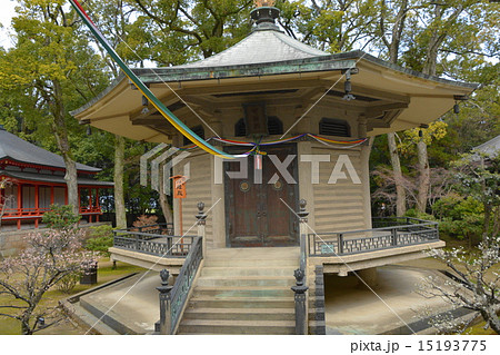 旧嵯峨御所　大覚寺 15193775